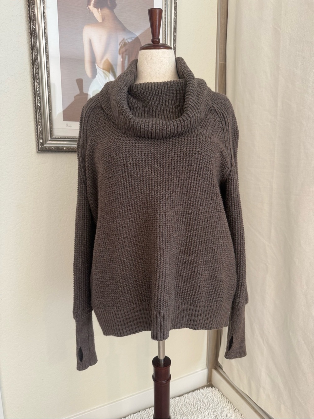 Market & Spruce Chunky Cowl Neck Sweater in Dark Brown